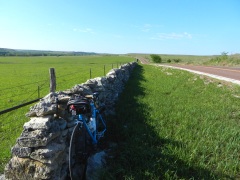 Sweetpea & stone fence